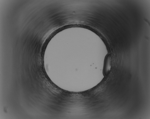 X0000103260927200809261135