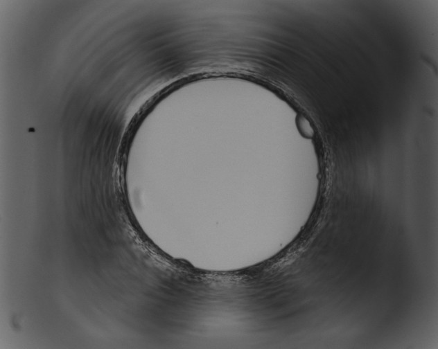 X0000103260928200809261135