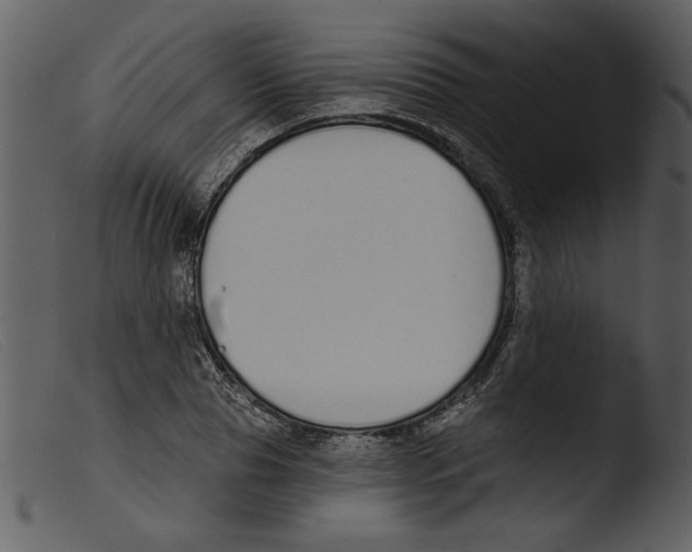 X0000103260929200809261135