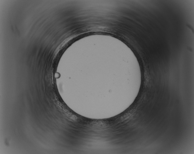 X0000103260931200809261135