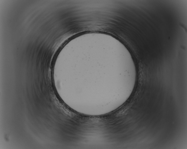 X0000103260932200809261135