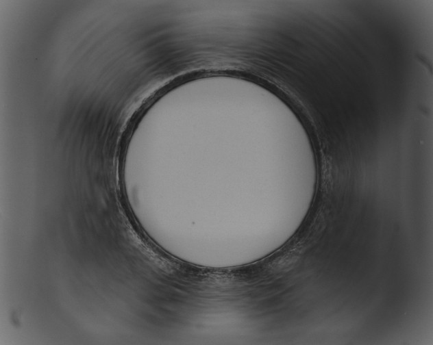 X0000103260935200809261135