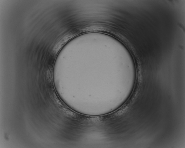 X0000103260937200809261135