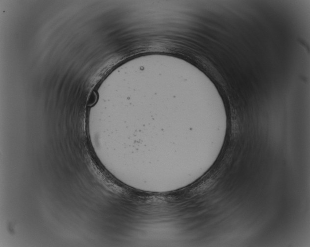 X0000103260938200809261135