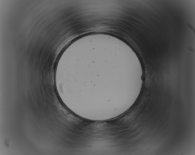 X0000103260939200809261135