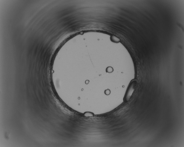 X0000103260942200809261135