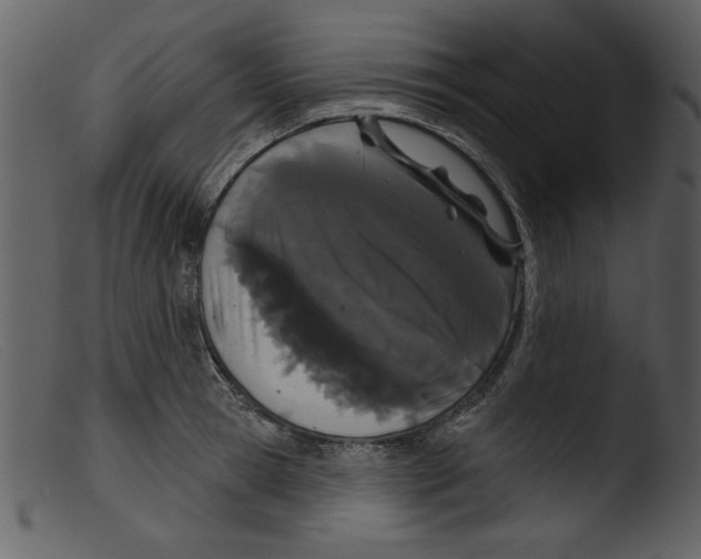 X0000103260945200809261135