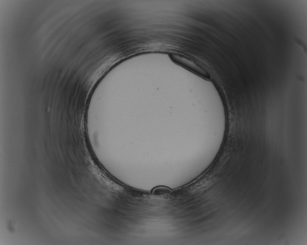 X0000103260946200809261135