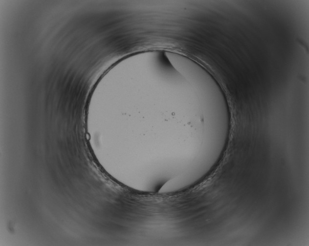 X0000103260948200809261136