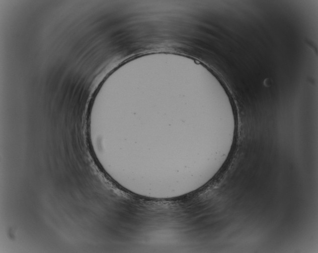 X0000103260949200809261136