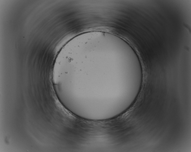 X0000103260952200809261136