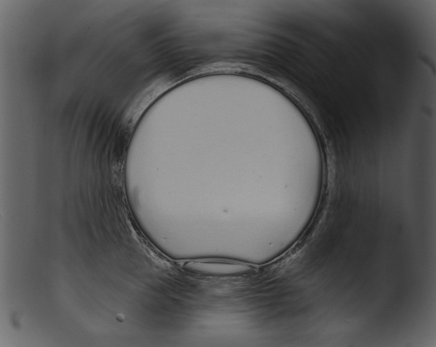 X0000103260953200809261136