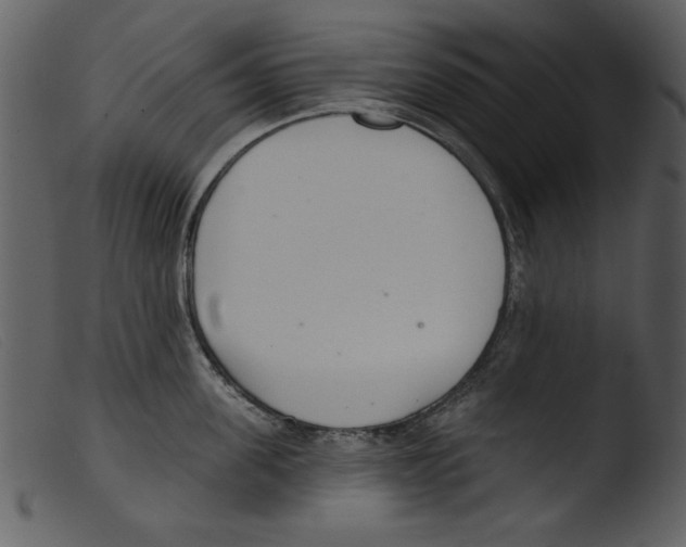 X0000103260955200809261136