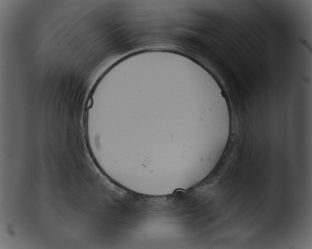 X0000103260959200809261136