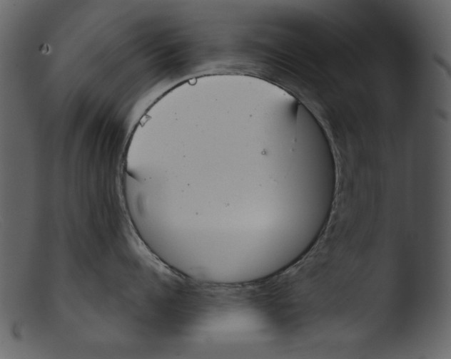 X0000103260960200809261136