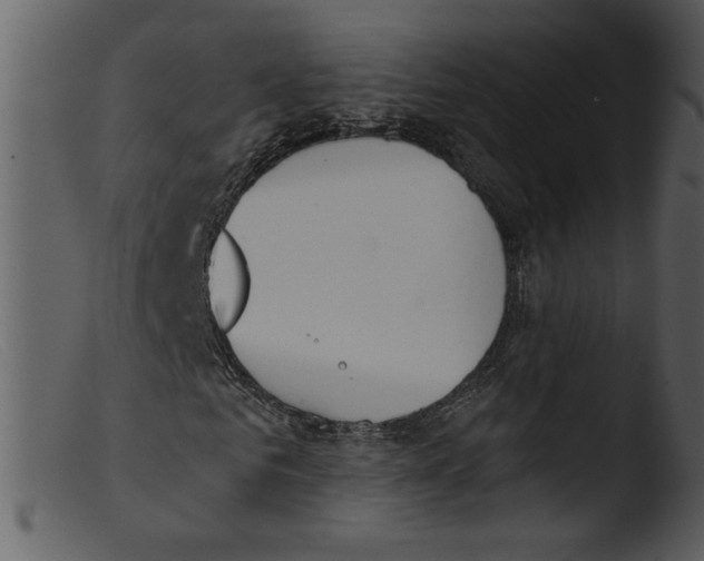 X0000103260961200809261135