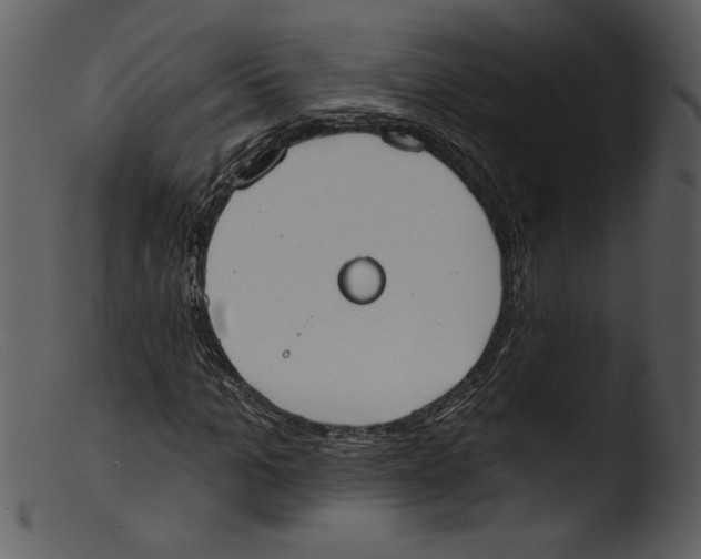 X0000103260965200809261135