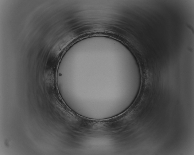 X0000103260969200809261135