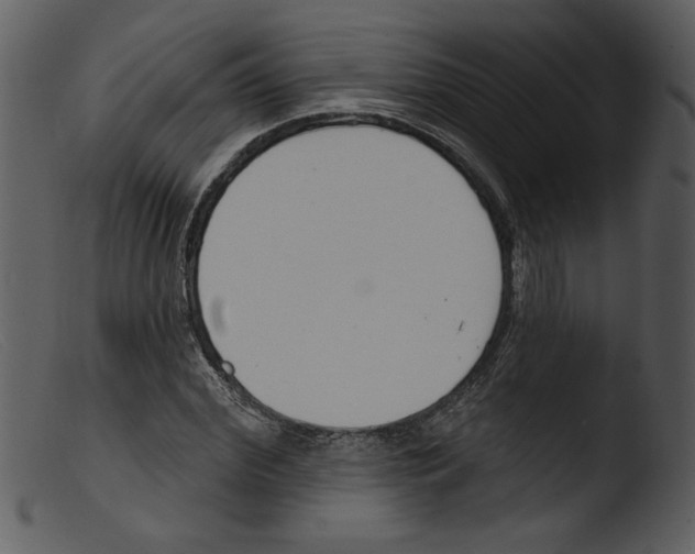 X0000103260972200809261135