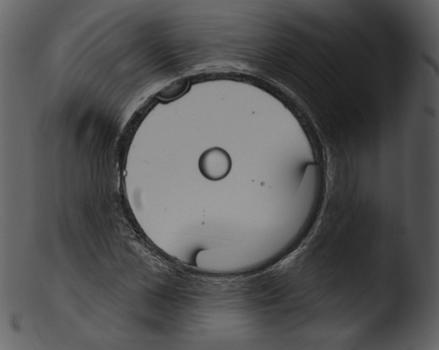 X0000103260973200809261135