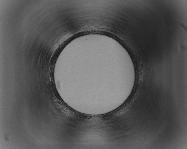 X0000103260974200809261135