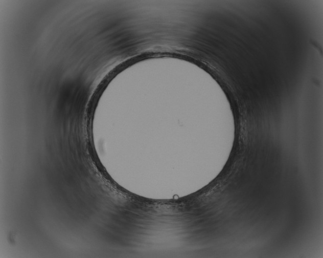 X0000103260976200809261135