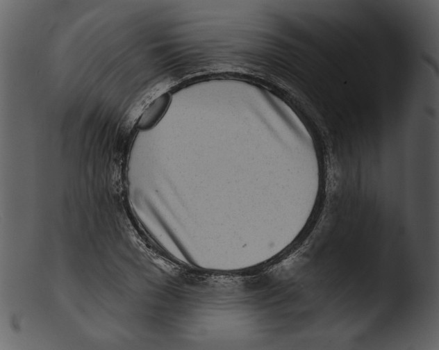 X0000103260977200809261135