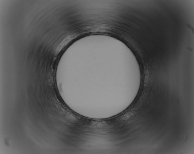 X0000103260978200809261135