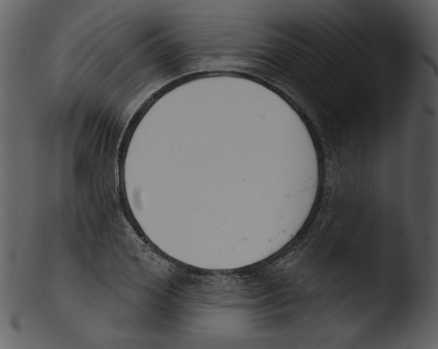 X0000103260980200809261135