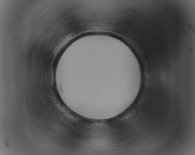 X0000103260982200809261135