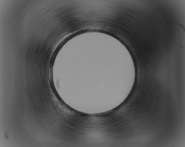 X0000103260984200809261135