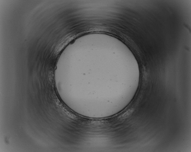 X0000103260985200809261135