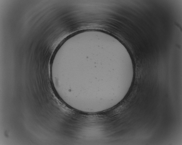 X0000103260988200809261135