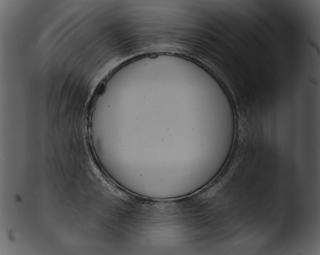 X0000103260989200809261135