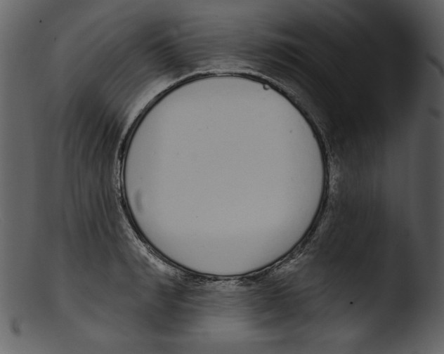 X0000103260990200809261135