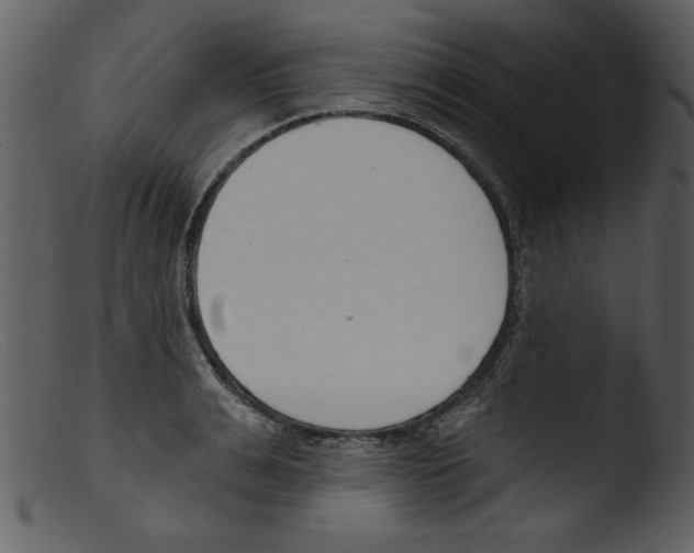 X0000103260991200809261135