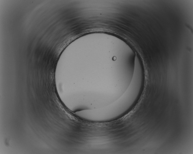 X0000103260993200809261134