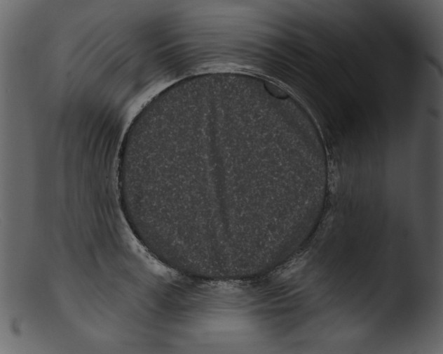 X0000103260995200809261134