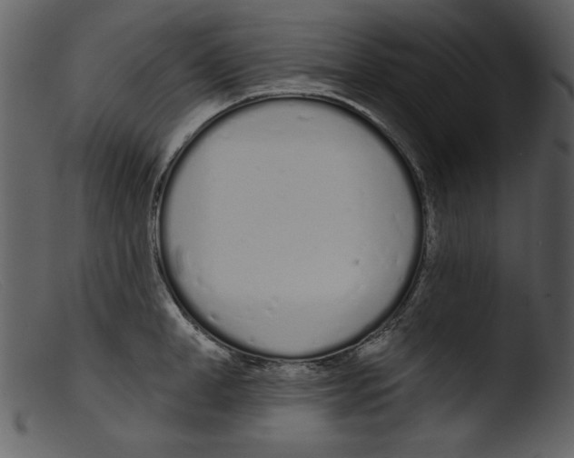 X0000103260998200809261134