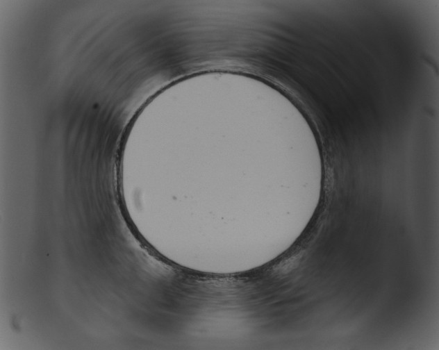 X0000103260999200809261134