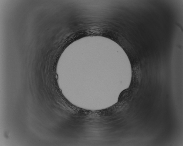 X0000103261009200809261133