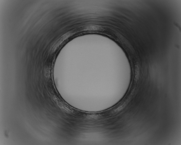 X0000103261017200809261133