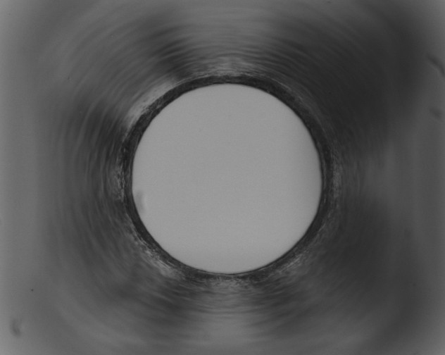 X0000103261018200809261133