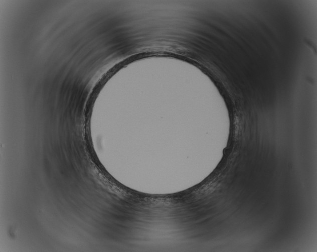 X0000103261020200809261133