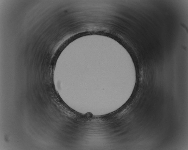 X0000103261021200809261134