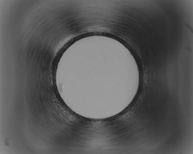 X0000103261022200809261134