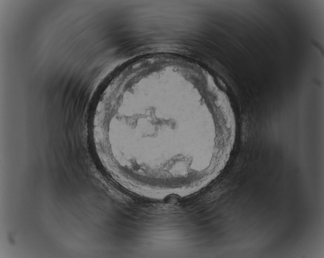 X0000103261024200809261134