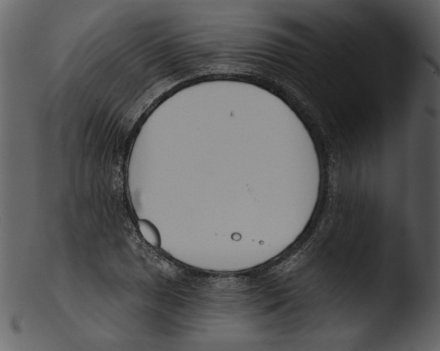 X0000103261025200809261134