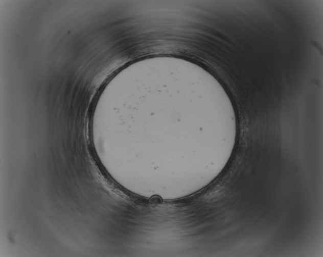 X0000103261034200809261134