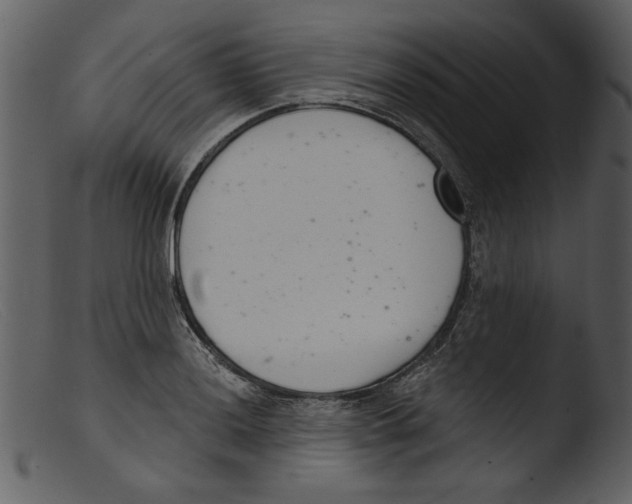 X0000103261036200809261134